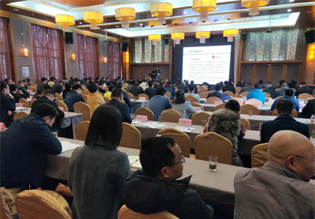 1554085501287581.jpg b1.jpg