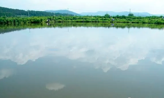 1600762008102092.png image.png